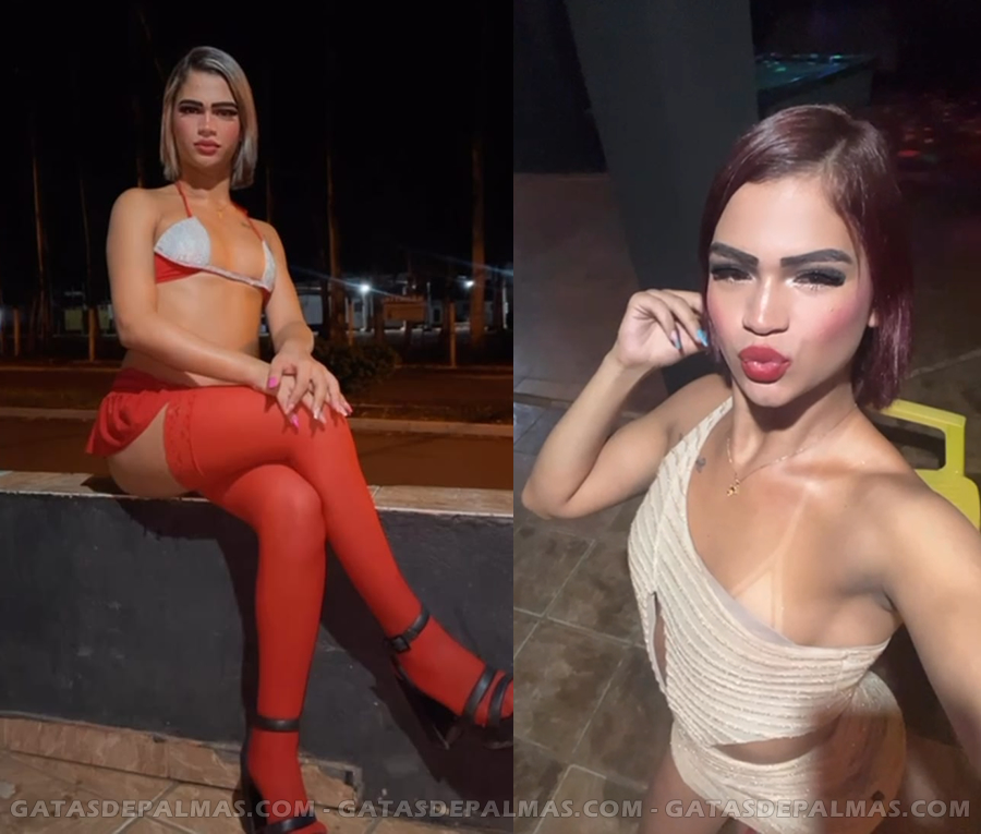 Transexual Patriny Lima Acompanhante em Palmas