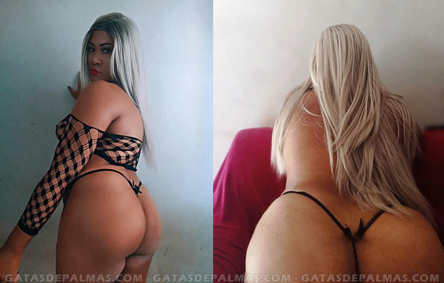 Transexual Selena Acompanhante em Palmas